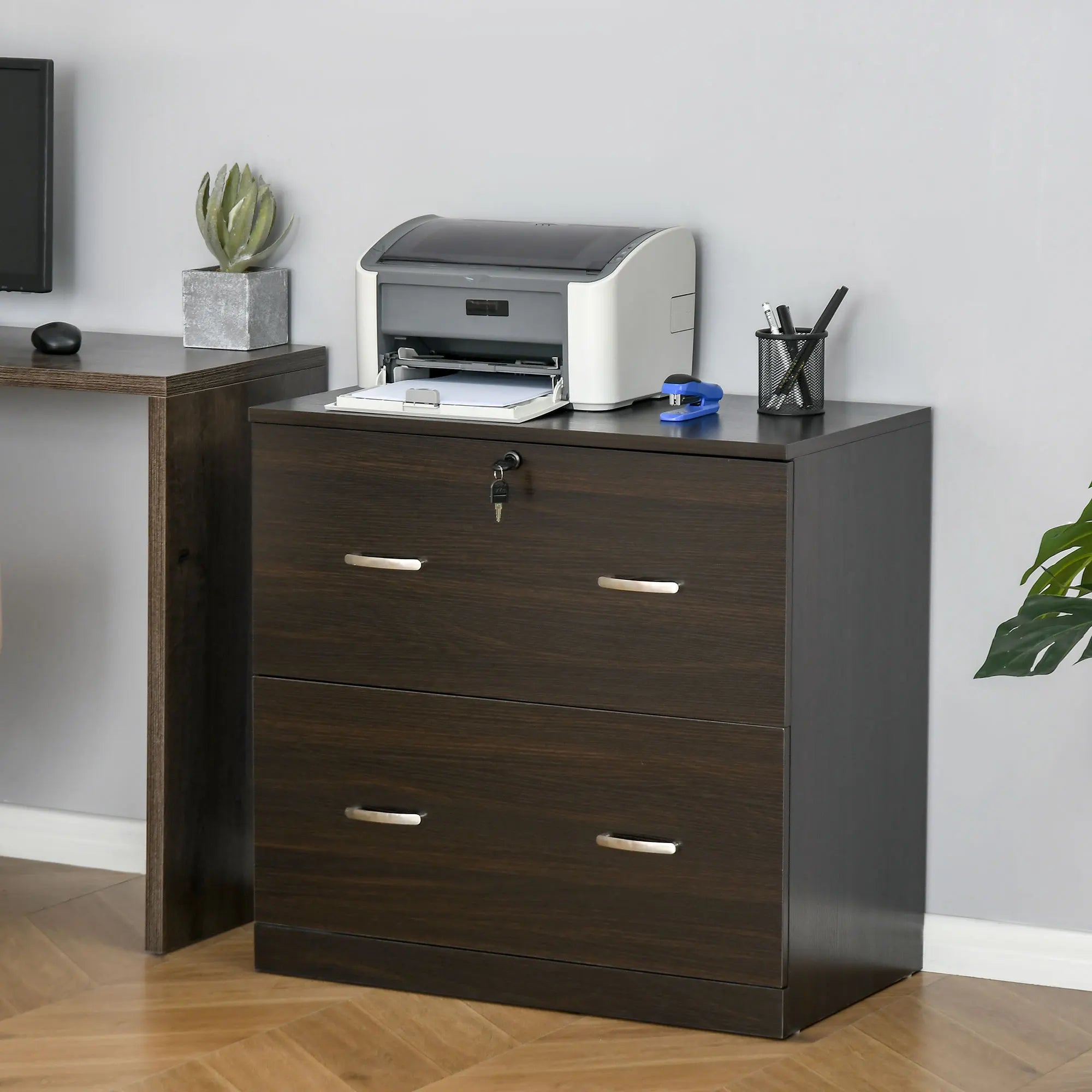 Walnut Vertical Office File Cabinet with 2 Lockable Drawers
